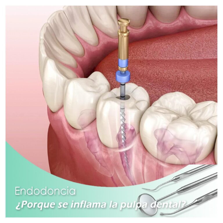 Dra. Melba Borda-im├ígenes-13